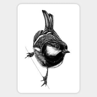 Coal tit bird Magnet